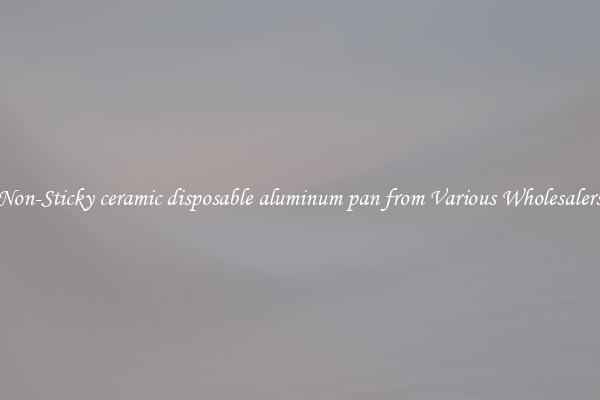 Non-Sticky ceramic disposable aluminum pan from Various Wholesalers