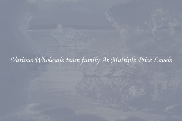 Various Wholesale team family At Multiple Price Levels