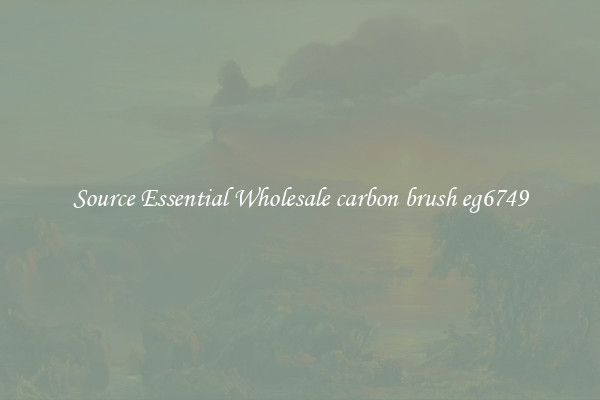 Source Essential Wholesale carbon brush eg6749