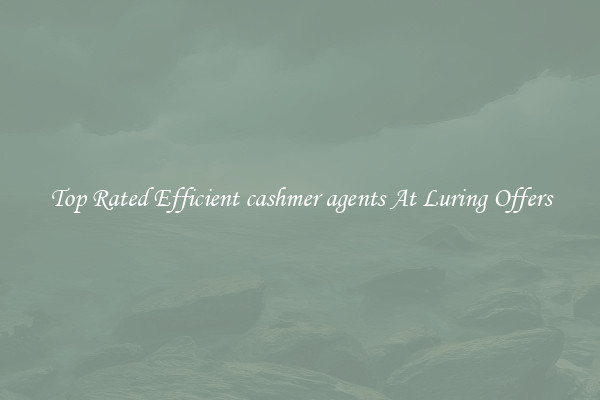 Top Rated Efficient cashmer agents At Luring Offers