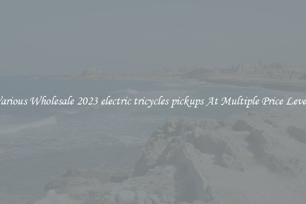 Various Wholesale 2023 electric tricycles pickups At Multiple Price Levels
