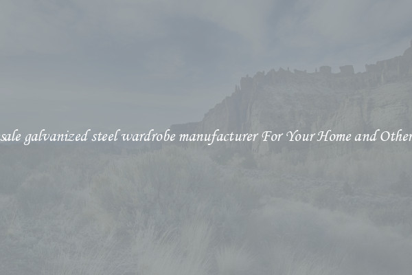 Wholesale galvanized steel wardrobe manufacturer For Your Home and Other Places