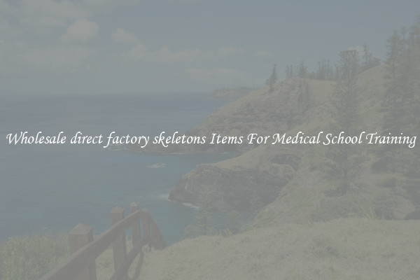 Wholesale direct factory skeletons Items For Medical School Training