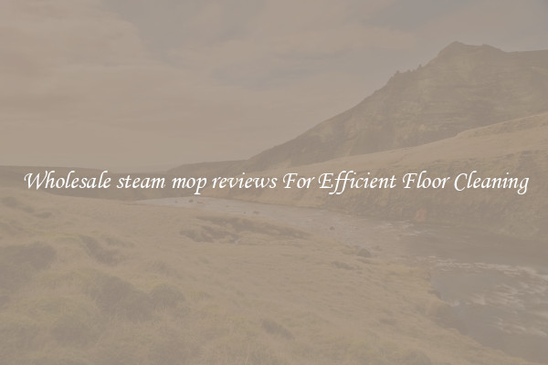 Wholesale steam mop reviews For Efficient Floor Cleaning