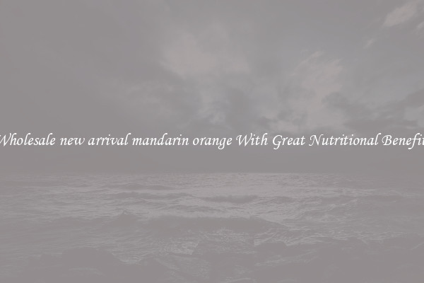 Wholesale new arrival mandarin orange With Great Nutritional Benefits