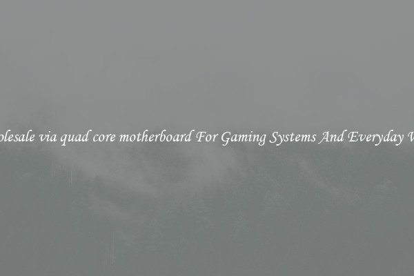 Wholesale via quad core motherboard For Gaming Systems And Everyday Work