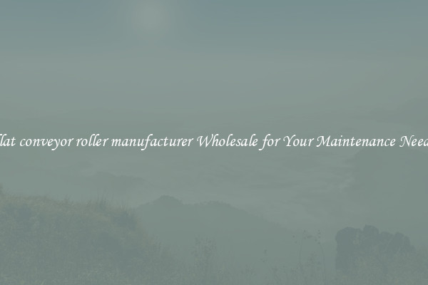 flat conveyor roller manufacturer Wholesale for Your Maintenance Needs