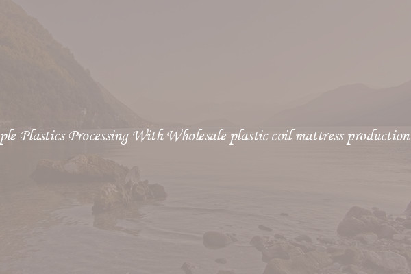 Simple Plastics Processing With Wholesale plastic coil mattress production line