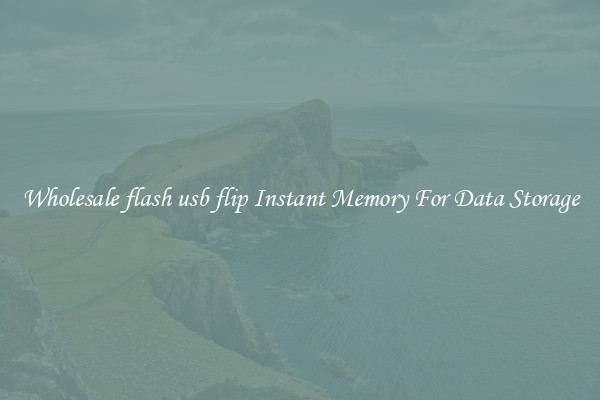 Wholesale flash usb flip Instant Memory For Data Storage