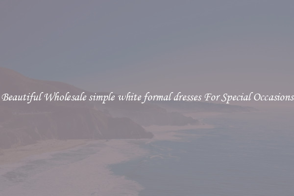 Beautiful Wholesale simple white formal dresses For Special Occasions