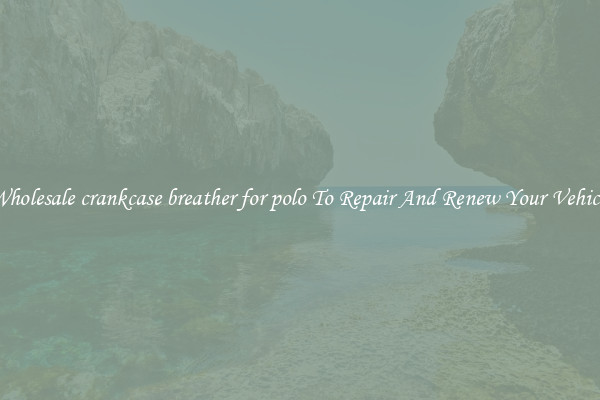 Wholesale crankcase breather for polo To Repair And Renew Your Vehicle