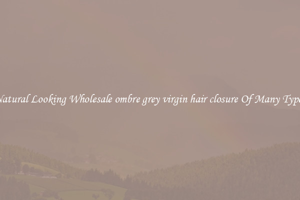 Natural Looking Wholesale ombre grey virgin hair closure Of Many Types