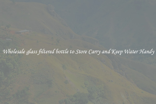 Wholesale glass filtered bottle to Store Carry and Keep Water Handy