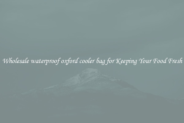 Wholesale waterproof oxford cooler bag for Keeping Your Food Fresh