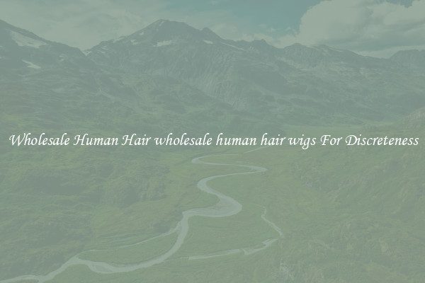 Wholesale Human Hair wholesale human hair wigs For Discreteness