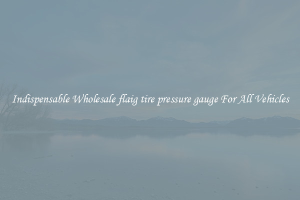 Indispensable Wholesale flaig tire pressure gauge For All Vehicles