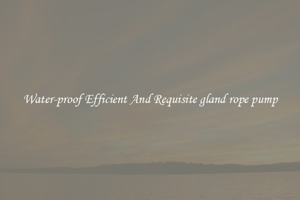 Water-proof Efficient And Requisite gland rope pump