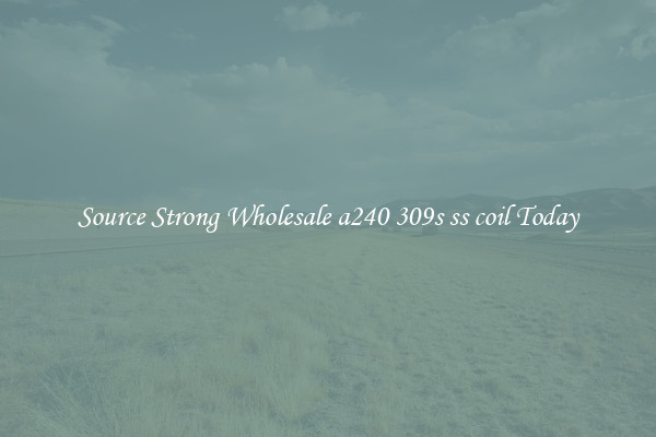 Source Strong Wholesale a240 309s ss coil Today