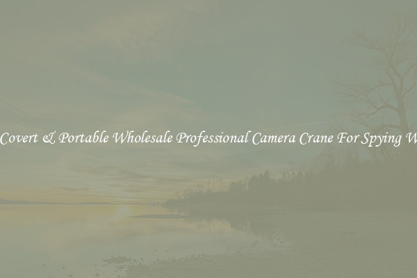 Get Covert & Portable Wholesale Professional Camera Crane For Spying Works