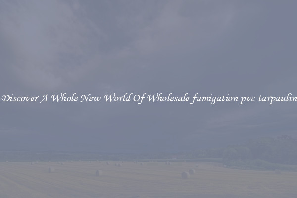 Discover A Whole New World Of Wholesale fumigation pvc tarpaulin